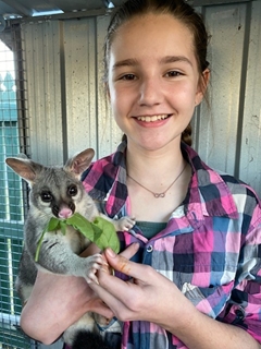 Moura BushBaby