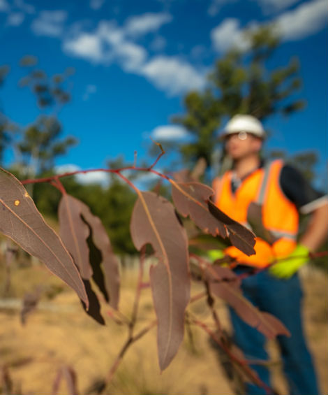 Close-up of dry leaves in focus with a worker in safety gear blurred in the background outdoors.