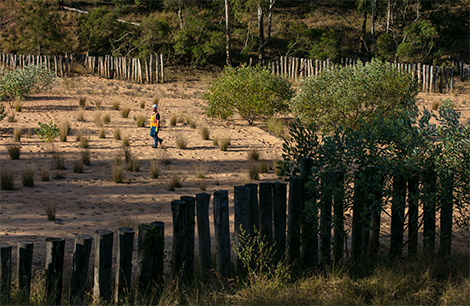 Worker walking across a dry, fenced landscape with scattered vegetation.